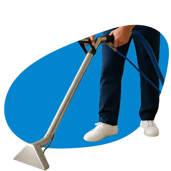 Pearland Area Rug Cleaning Service Pearland Area Rug Cleaning